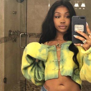 Green Safety Pin Sweater (Authentic danielle guizio)